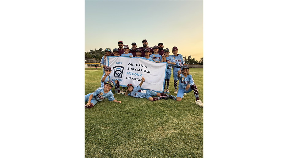 VLL 10U All Stars are Section 6 Champs!